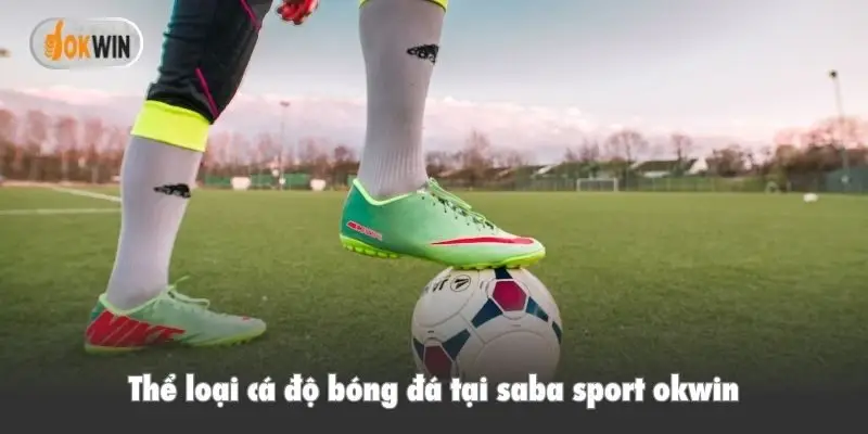 Thể loại cá độ bóng đá tại saba sport okwin