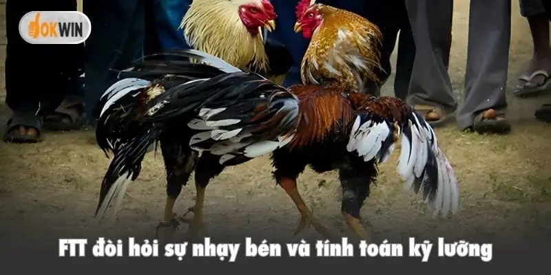 FTT đòi hỏi sự nhạy bén và tính toán kỹ lưỡng