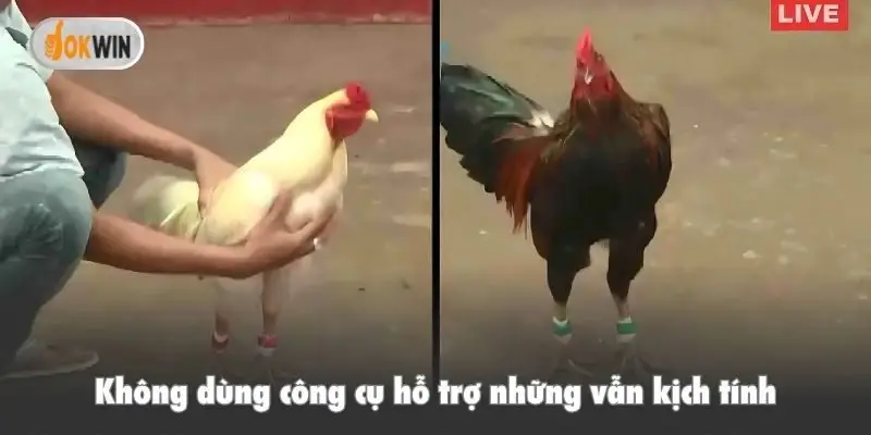 Không dùng công cụ hỗ trợ những vẫn kịch tính