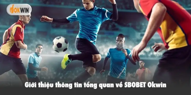 Giới thiệu thông tin tổng quan về SBOBET Okwin