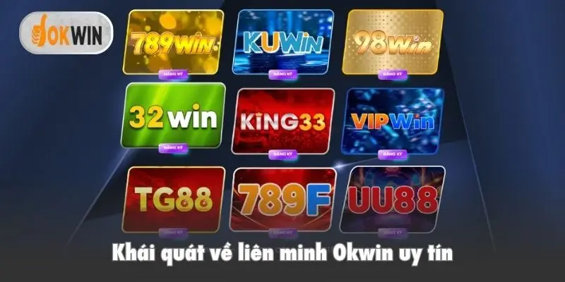 Khái quát về liên minh Okwin uy tín