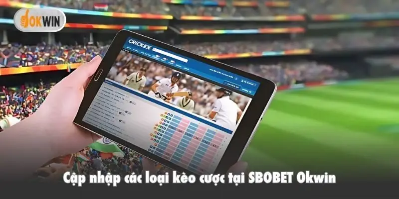 Cập nhập các loại kèo cược tại SBOBET Okwin