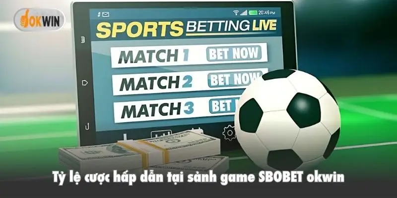 Tỷ lệ cược hấp dẫn tại sảnh game SBOBET okwin