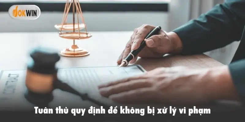 Tuân thủ quy định để không bị xử lý vi phạm